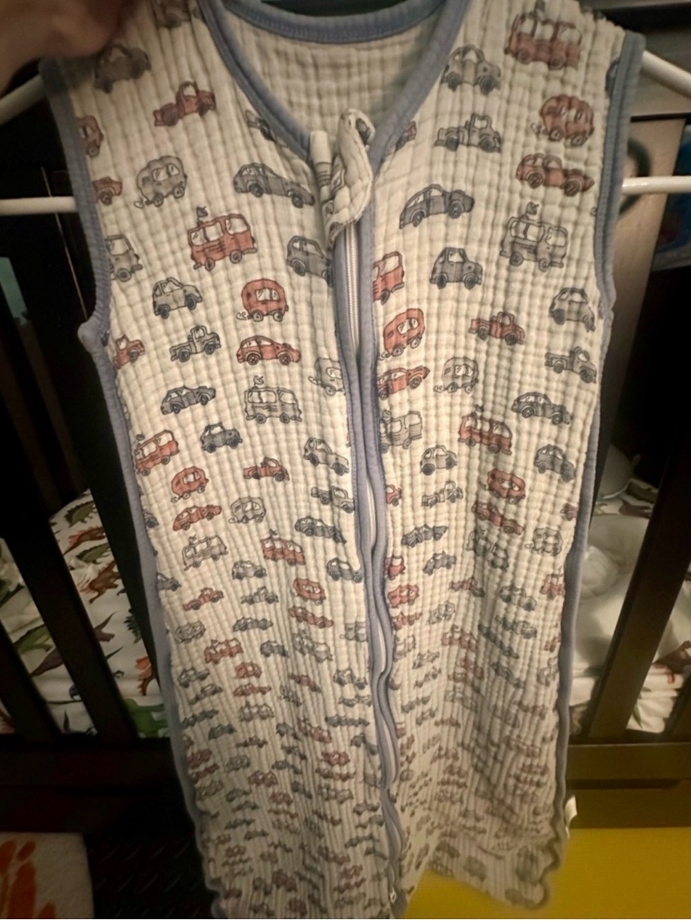 Sleeveless Sleep Sack - Blue Trim with Car Print